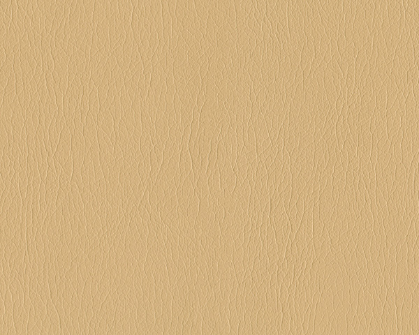 Chamois